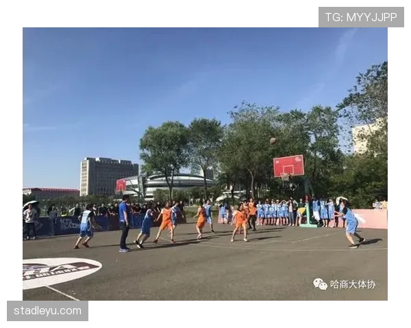 比赛中球卡篮筐规则判罚详解？明确球权归属与恢复比赛方式